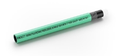 250_MA501610-1.JPG