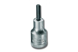 250_GE6153.JPG