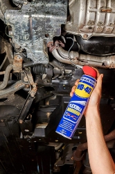 250_WD400406-2.JPG