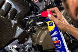 250_WD400406-3.JPG