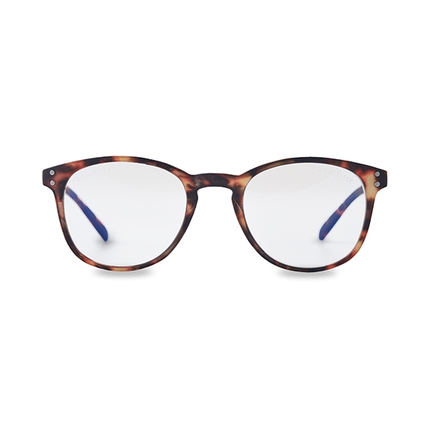 GAFAS FILTRO LUZ AZUL Mod.B01 Carey Wild