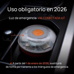 250_EL210020-5.JPG