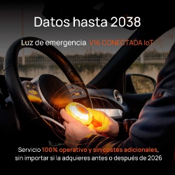 250_EL210020-6.JPG