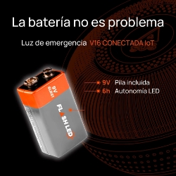 250_EL210020-7.JPG
