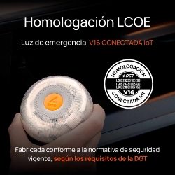 250_EL210020-9.JPG