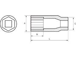 250_IRM002285-3.JPG
