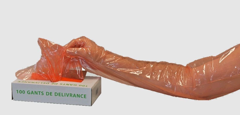 GUANTE POLIETILENO 90 CMS CAJA 1000 UDS 