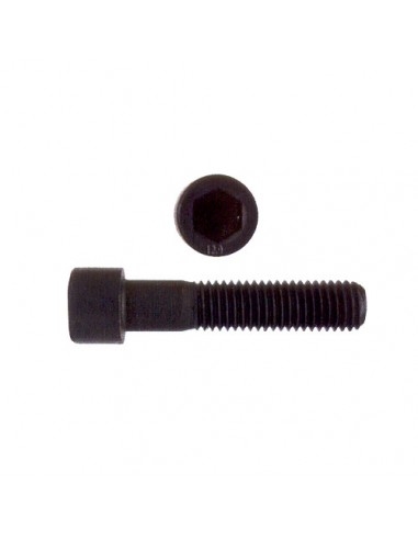 TORNILLO DIN-912 10.9 M-20X55