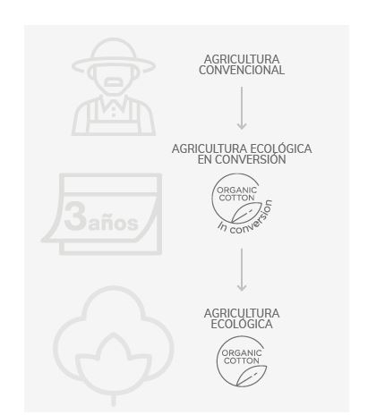 CAMISETA ALGODÓN BIO M/C BLANCA T-L (K30