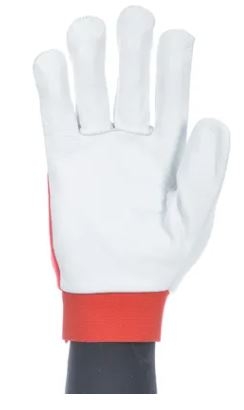 (PR48600)-2.JPG