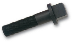 250_IR806000.JPG