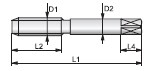 250_J00049625-2.JPG