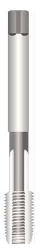 250_J00164506-1.JPG