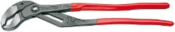 250_KN870156.JPG
