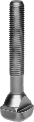 250_NLM00516.JPG
