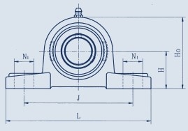 UCP 207