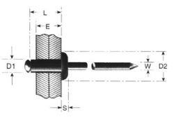 250_RA005.JPG