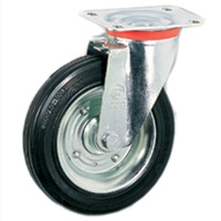 250_RST535003.JPG