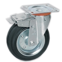 250_RST535403.JPG