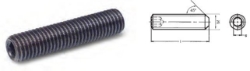 250_TR2.JPG