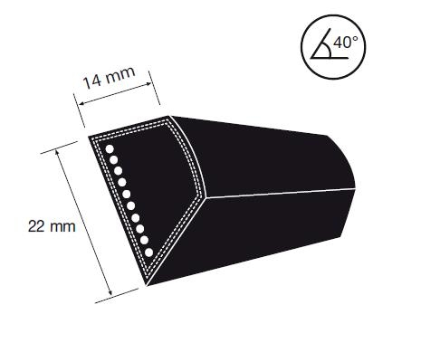 CORREA TRAPECIAL C-65