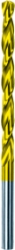 250_G0667.JPG