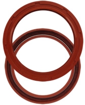 16X22X4 RETEN VITON