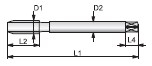 250_J00128110-2.JPG