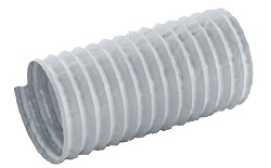 250_MP020.JPG