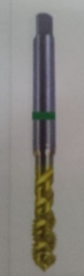 250_G00591000.JPG