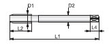 250_J00085308-2.JPG