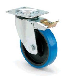 250_ARSA1012.JPG