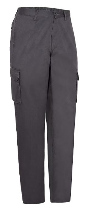 PANTALON TERG.GRIS MULTIB.C/GOMA T-60/62 (1141)