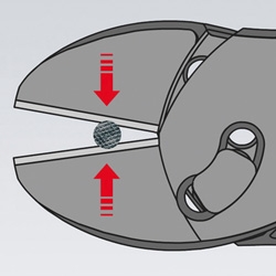 250_KN737218-07.JPG