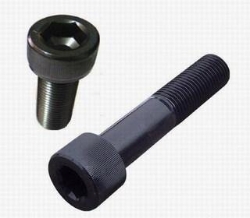 250_IM1.JPG