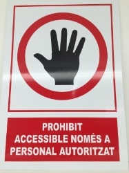 250_SEN0130101.JPG