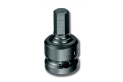 250_GE6225.JPG